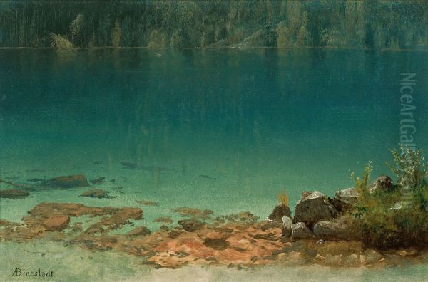 Lake Scene - view 1