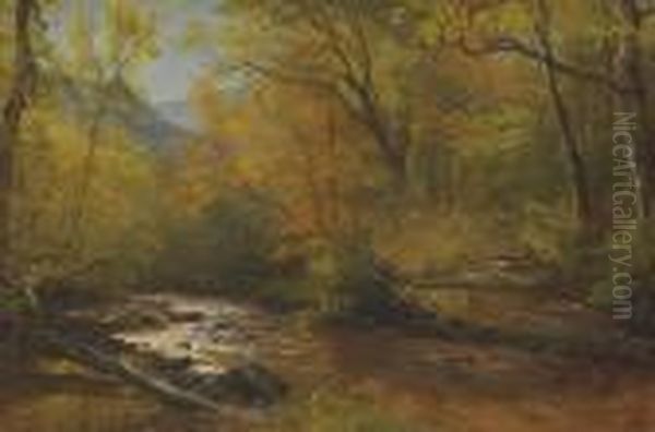 Brook In Woods - view 1