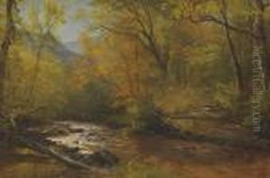 Brook In Woods by Albert Bierstadt