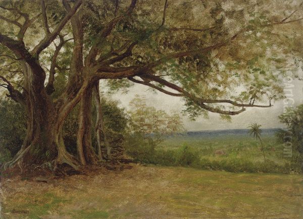 Study For "the Landing Of Columbus" - view 1