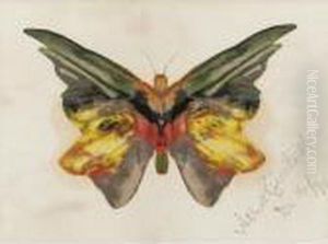 Butterfly by Albert Bierstadt