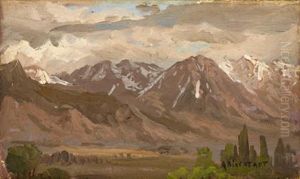 Montana Landscape