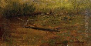 American - Study Of Waterlillies, Circa 1858 by Albert Bierstadt