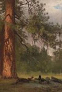 Yosemite Camp Kitchen by Albert Bierstadt