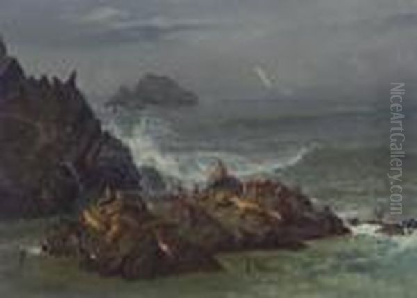 Seal Rocks, Pacific Ocean, California - view 1