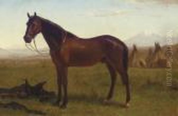 Portrait Of A Horse - view 1