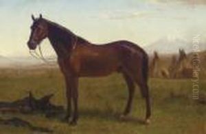 Portrait Of A Horse by Albert Bierstadt