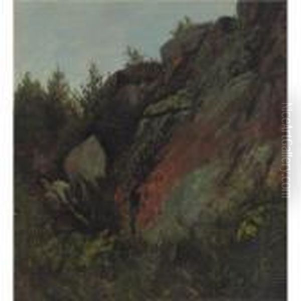 Trees, Rocks And Moss - view 1
