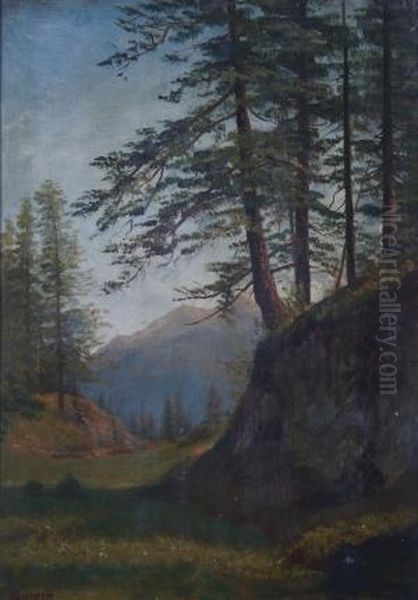 Landscape With Trees And Valley - view 1
