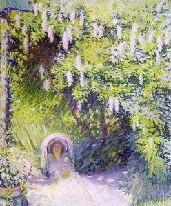 Wisteria