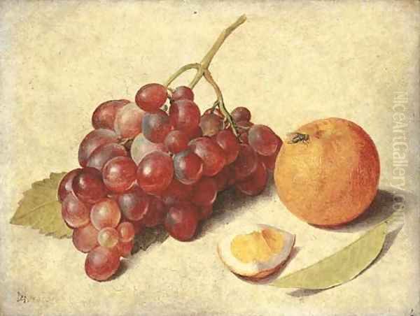A bunch of grapes on the vine - view 1