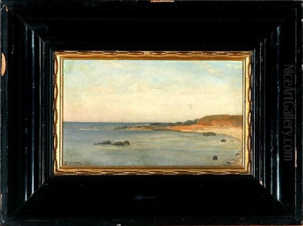Danish Coastal Scenery - view 1