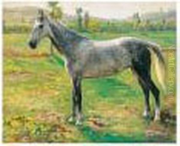 A Grey In A Landscape - view 1