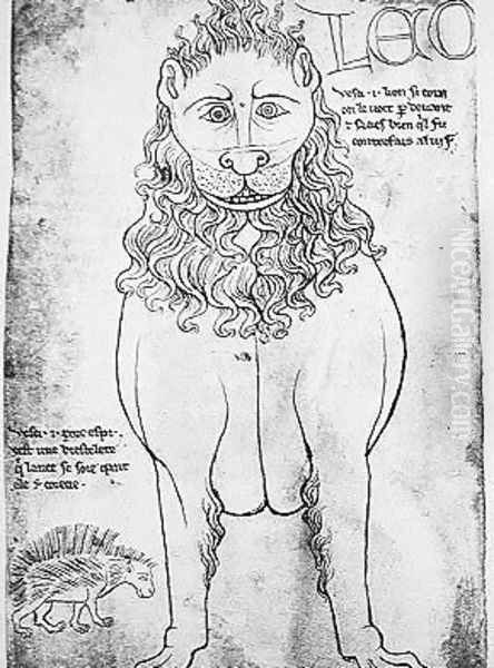 Lion and Porcupine - view 1