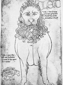 Lion and Porcupine