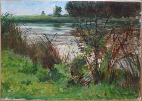 Bord De Riviere A Travers Les Ajoncs - view 1