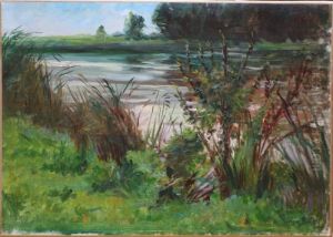 Bord De Riviere A Travers Les Ajoncs Bord De Riviere A Travers Les Ajoncs