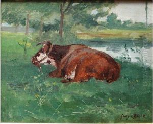 Vache Au Repos