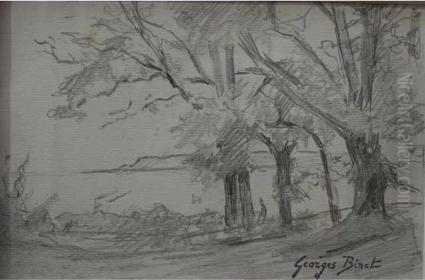 Sainte Adresse A Travers Les Arbres - view 1