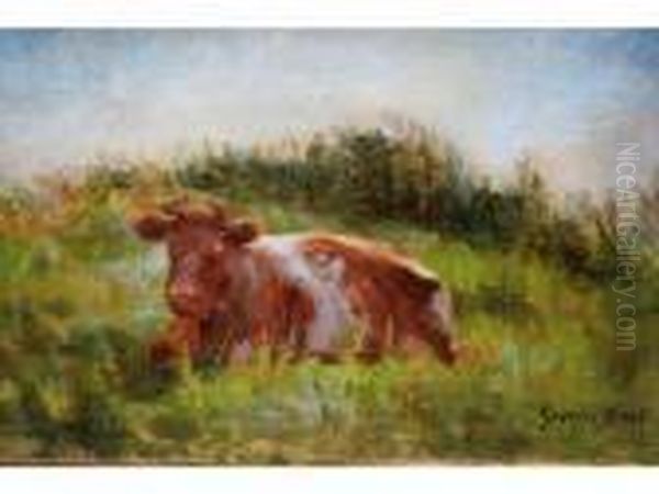 Vache Couchee - view 1