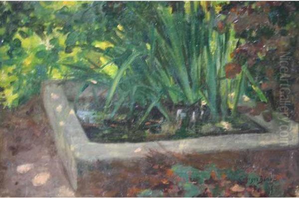 Le Bassin - view 1