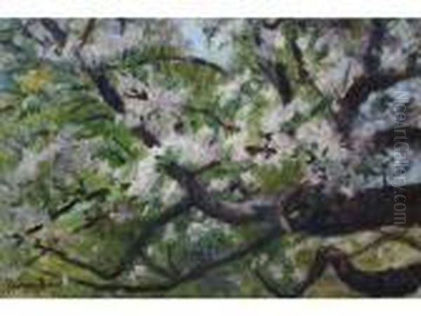 Branche De Pommier En Fleurs - view 1