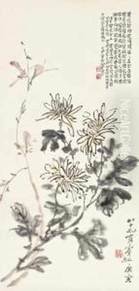 Chrysanthemums - view 1