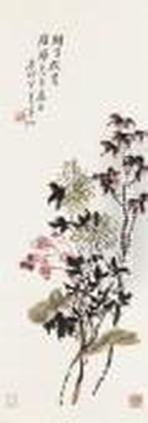 Chrysanthemums - view 1