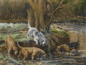 Group Of Four Otterhounds At The Water's Edge