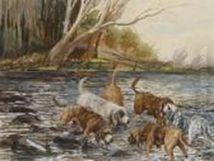 Six Otterhounds In A River