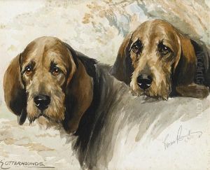 Otterhounds