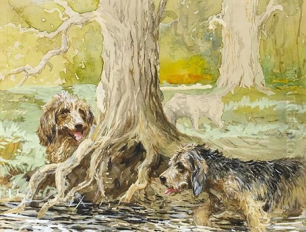 Two Otterhounds Working At The Base Of A Tree - view 1