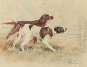 Pointer And Irish Setter