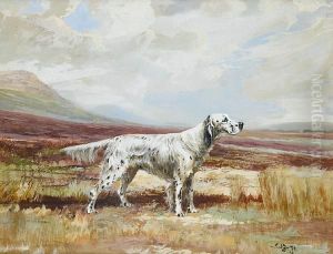 English Setter; Rex Of Crossfell: Two