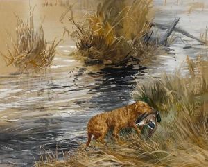 Chesapeake Bay Retriever