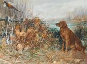 Vesta Of Woolley