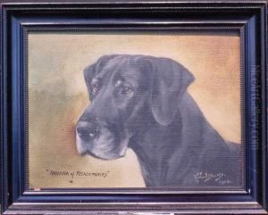 Ravana Of Readmoney 
(black Labrador)
