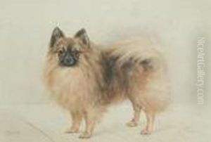 Bijou, A Pomeranian