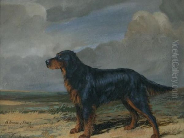 Champion Bouncer Of Ardale - view 1