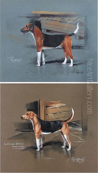 Foxhounds, L & S Hunt, 'sheila' And'raider' - view 1
