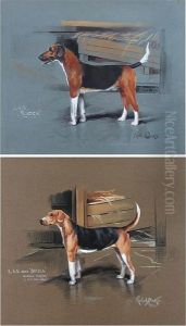 Foxhounds, L &amp; S Hunt, 'sheila' And'raider'