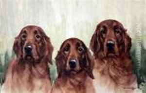 Portrait Of Three Irish Setters