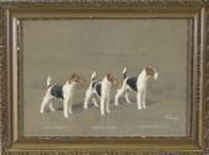 Drei Drahthaarfoxterrier - Ch. 
Epping Extreme, Ch. Crackley Sensation Und Ch. Barrington Bridegroom