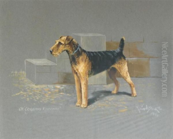 Champion Lakeland Terrier Cragsman Kingsway - view 1