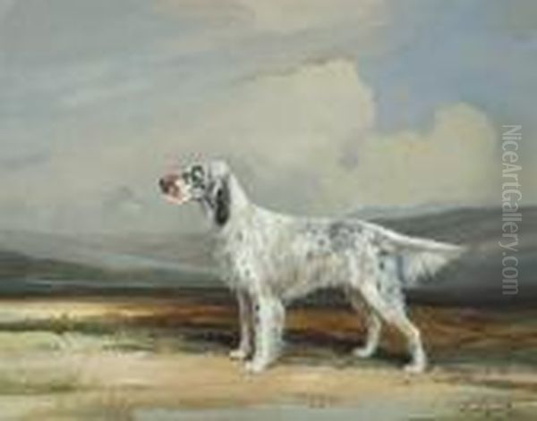 Ch. Marvel Of Crombie - view 1
