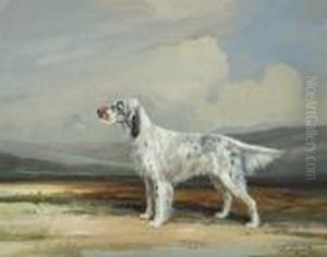 Ch. Marvel Of Crombie
