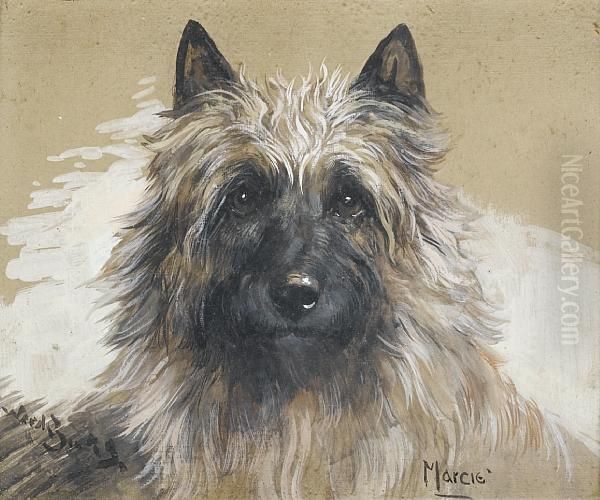 A Head Study Of The Cairn Terrier 'marcie' - view 1