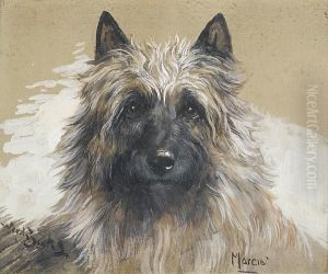 A Head Study Of The Cairn Terrier 'marcie'