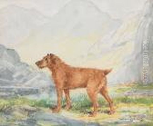 Portrait Of The Lakeland Terrier 'butcher' - view 1