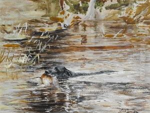 In A Quiet Backwater by Binks, R. Ward